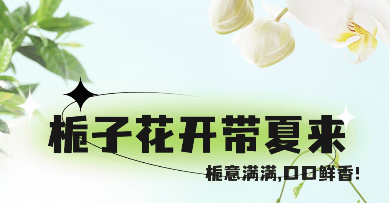 栀子花茶7月新上市 ，栀意满满，带你入夏 ！
