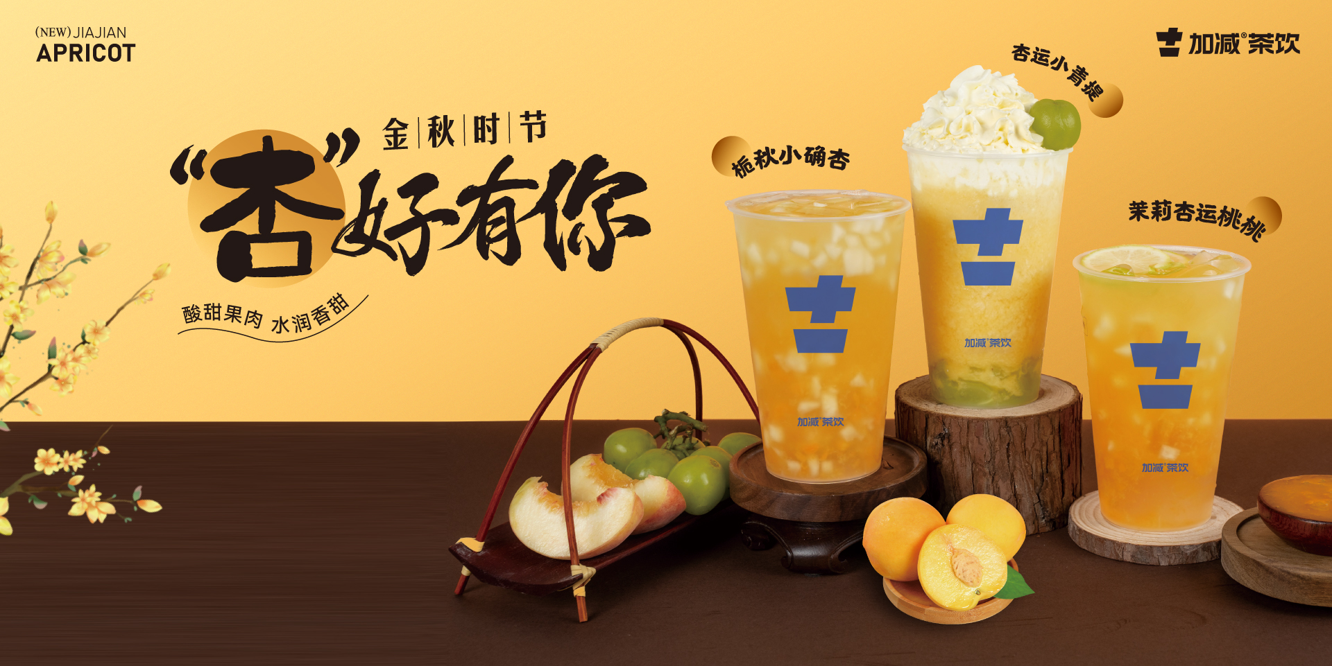 金秋时节，“杏”好有你